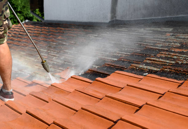 Best Pressure Washing Driveway  in Indian Springs, GA